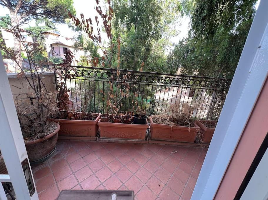 6ponza Mansion Nature * Rom